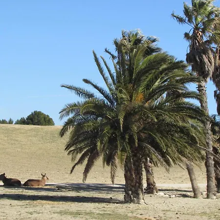 Mobilhome Echo Des Vagues * Sigean